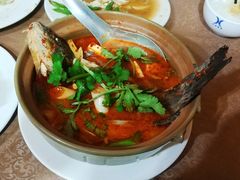 酸汤弓鱼-苍洱春饭店