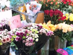 -嘉定宝龙广场