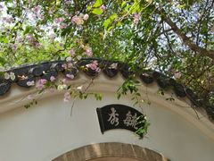 -深圳国际园林花卉博览园