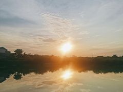 -空港花田景区