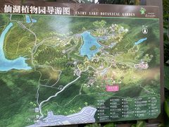 -深圳仙湖植物园
