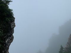 -牛背梁国家森林公园