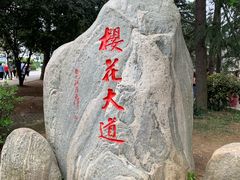 -武汉大学-樱园