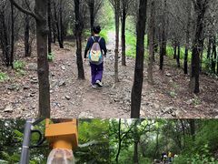 -阳台山自然风景区