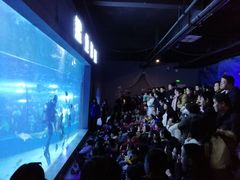 -邯郸海洋世界