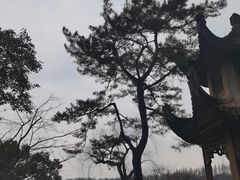 -浙江西子宾馆·牡丹厅