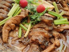 -老板恋上鱼(恒隆广场店)