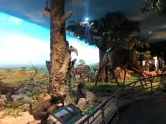 -国家自然博物馆