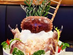 面包蟹-斯普汇生蚝牛排馆(中骏世界城店)