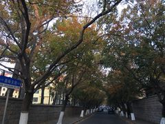 -八大关景区