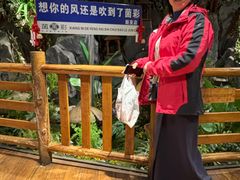 -菌彩云南野生菌火锅(新亚洲店)