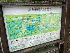 -上海海湾国家森林公园