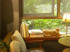 -咖法森林·咖啡  酒吧(天河店)