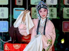 -南京市民俗博物馆(甘熙故居)