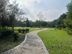 -溱湖国家湿地公园