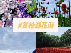 -松山湖南湖湾露营营地