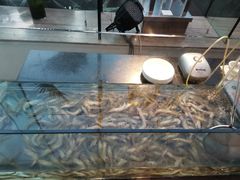 水产区-漳州佰翔圆山酒店·圆山畔西餐厅