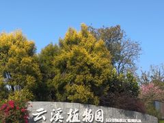 -云溪植物园