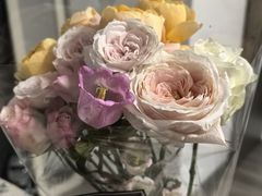 -牛New寿喜烧(金茂览秀城店)