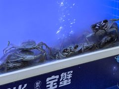 -蟹状元大闸蟹·年货·粽子(成都成华店)