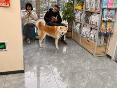 -美联众合爱康动物医院•复杂内科•肿瘤科•牙科•腔镜诊疗中心