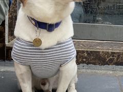 -爱诺耐芙动物医院(万博店)