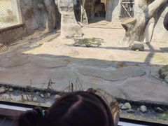 -温州动物园-北门售票处