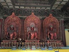 -大觉寺-停车场