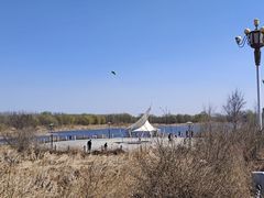 -蒲河岛湿地公园