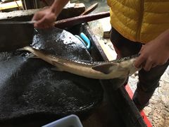 -姚记抚仙湖野生菌石锅鱼庄