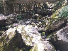 -西安祥峪森林公园