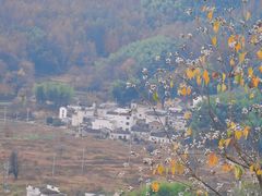-塔川景区