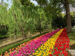 -上海鲜花港