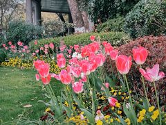 -浙江西子宾馆·瑶园咖啡厅