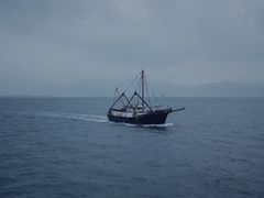 -招商蛇口邮轮母港(观光客运)