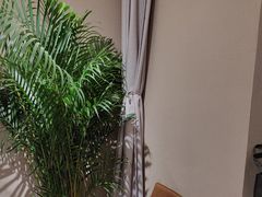 -羊门客在·烤盐池滩羊·川菜