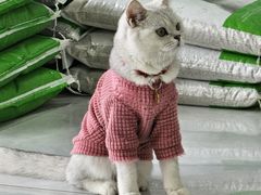 -中农大我爱我爱动物医院·核磁CT·猫病·24小时夜诊中心(石佛营店)