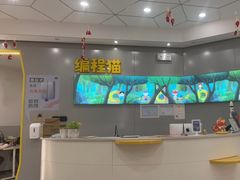 -编程猫·少儿编程(绿宝校区)