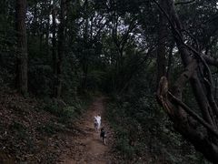 -北高峰