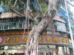 -福合沟无米粿甜汤粿品店