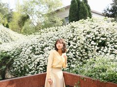 -四川大学(望江校区)