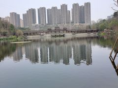 -重庆彩云湖湿地公园