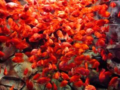 -波塞冬旅游度假区