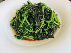 -碧丽宫大酒店(召稼楼店)