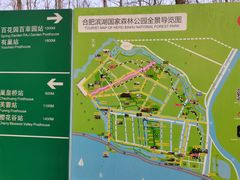 -合肥滨湖国家森林公园