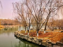 -大兴滨河森林公园