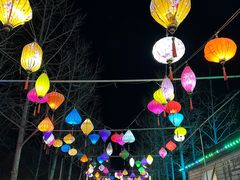 -南宫五洲植物乐园