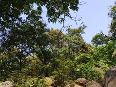 -大岭沟猕猴桃谷风景区
