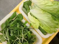 -正能量脆肉鲩火锅