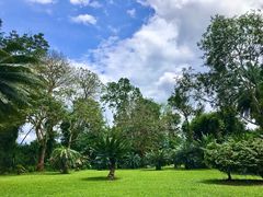 -中国科学院西双版纳热带植物园